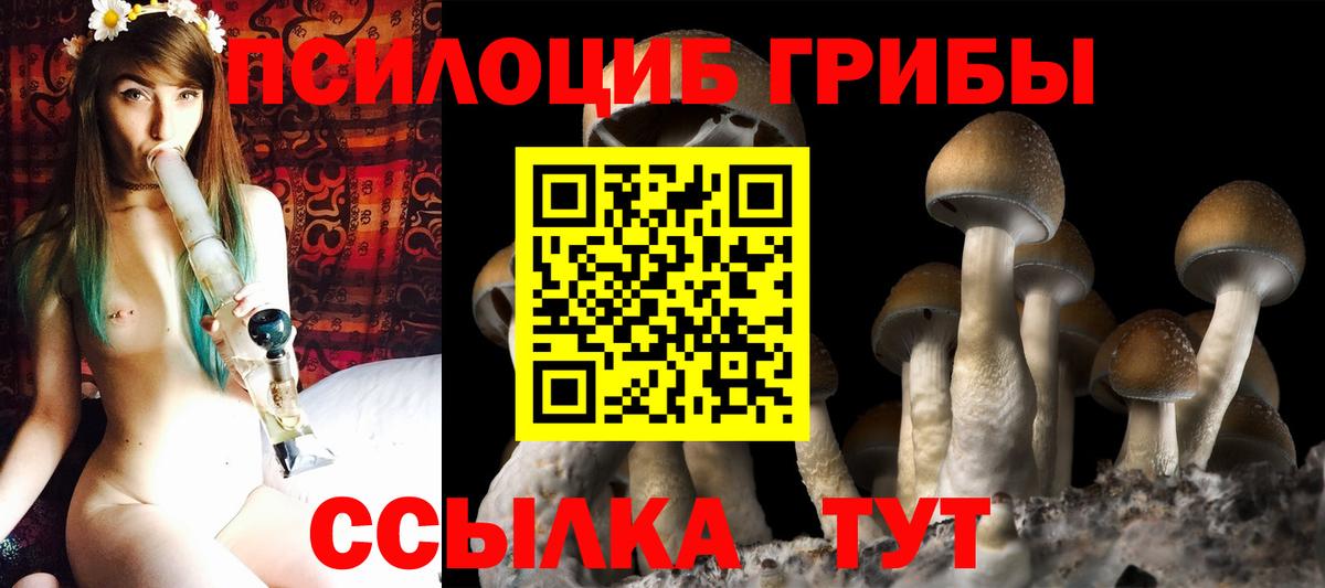 Галлюциногенные грибы мицелий  купить наркотики цена  Александров  Вход с VPN 